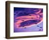 Sandhill Cranes in Flight and Lenticular Cloud Formation over Mt. Shasta, California-Tom Haseltine-Framed Photographic Print