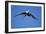 Sandhill Cranes in Flight, Bosque Del Apache, New Mexico-Paul Souders-Framed Photographic Print