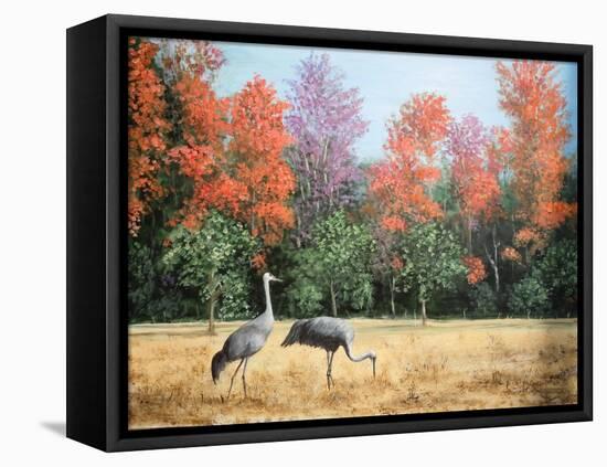 Sandhill Cranes in Florida-Marilyn Dunlap-Framed Stretched Canvas