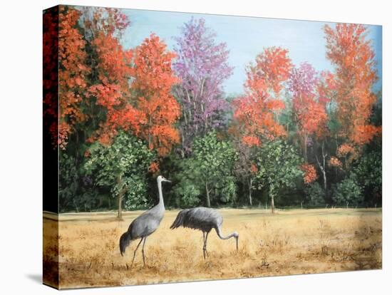 Sandhill Cranes in Florida-Marilyn Dunlap-Stretched Canvas