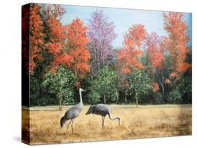 Sandhill Cranes in Florida-Marilyn Dunlap-Stretched Canvas