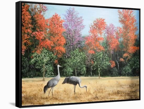 Sandhill Cranes in Florida-Marilyn Dunlap-Framed Stretched Canvas