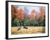 Sandhill Cranes in Florida-Marilyn Dunlap-Framed Art Print