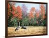 Sandhill Cranes in Florida-Marilyn Dunlap-Framed Art Print