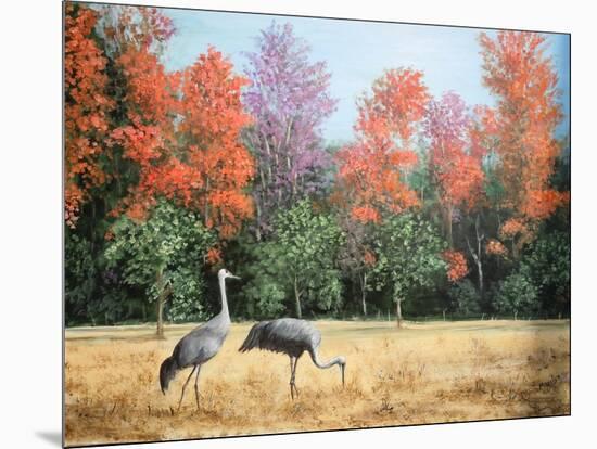 Sandhill Cranes in Florida-Marilyn Dunlap-Mounted Art Print