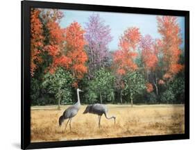 Sandhill Cranes in Florida-Marilyn Dunlap-Framed Art Print