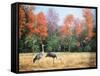 Sandhill Cranes in Florida-Marilyn Dunlap-Framed Stretched Canvas