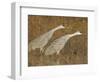 Sandhill Cranes in Marsh Prepare for Takeoff, Bosque Del Apache National Wildlife Reserve-Arthur Morris-Framed Photographic Print