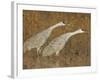 Sandhill Cranes in Marsh Prepare for Takeoff, Bosque Del Apache National Wildlife Reserve-Arthur Morris-Framed Photographic Print