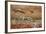 Sandhill Cranes Landing, Bosque Del Apache NWR, New Mexico, USA-Larry Ditto-Framed Photographic Print