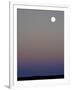 Sandhill Cranes Moon Flying Under Full Moon at Twilight-Arthur Morris-Framed Photographic Print