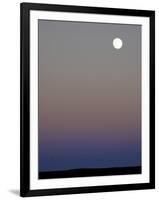 Sandhill Cranes Moon Flying Under Full Moon at Twilight-Arthur Morris-Framed Photographic Print