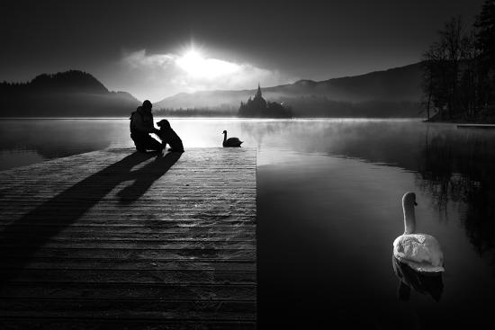 Premium Photographic Print, , large