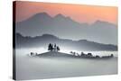 Stretched Canvas