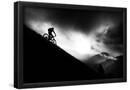 Essential Black