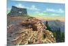 Sandia Mountains, New Mexico, Scenic View from Kiwanis Point-Lantern Press-Mounted Premium Giclee Print