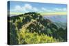 Sandia Mountains, New Mexico, Scenic View from Sandia Crest-Lantern Press-Stretched Canvas