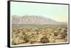 Sandia Mountains, New Mexico-null-Framed Stretched Canvas