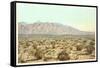 Sandia Mountains, New Mexico-null-Framed Stretched Canvas