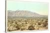 Sandia Mountains, New Mexico-null-Stretched Canvas