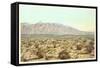 Sandia Mountains, New Mexico-null-Framed Stretched Canvas