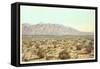 Sandia Mountains, New Mexico-null-Framed Stretched Canvas