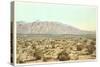 Sandia Mountains, New Mexico-null-Stretched Canvas