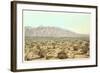 Sandia Mountains, New Mexico-null-Framed Art Print