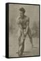 Sandow. Product of Physical Culture, Flushing Weight-null-Framed Stretched Canvas