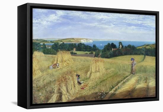 Sandown Bay, Isle of Wight to Culver Cliff with a Cornfield in the Foreground, c.1850-Richard Burchett-Framed Stretched Canvas