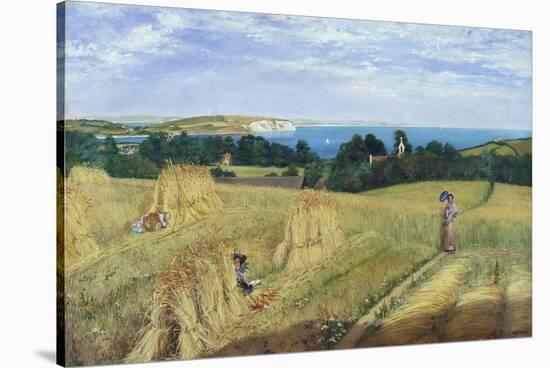 Sandown Bay, Isle of Wight to Culver Cliff with a Cornfield in the Foreground, c.1850-Richard Burchett-Stretched Canvas