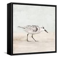 Sandpiper 1-Kimberly Allen-Framed Stretched Canvas