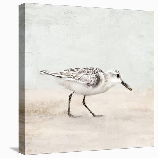 Sandpiper 1-Kimberly Allen-Stretched Canvas