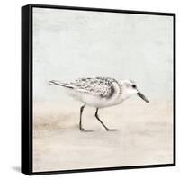 Sandpiper 1-Kimberly Allen-Framed Stretched Canvas