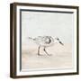 Sandpiper 1-Kimberly Allen-Framed Art Print