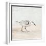 Sandpiper 1-Kimberly Allen-Framed Art Print