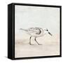 Sandpiper 1-Kimberly Allen-Framed Stretched Canvas