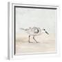 Sandpiper 1-Kimberly Allen-Framed Premium Giclee Print