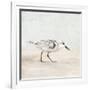 Sandpiper 1-Kimberly Allen-Framed Art Print