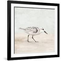 Sandpiper 1-Kimberly Allen-Framed Art Print