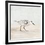 Sandpiper 1-Kimberly Allen-Framed Art Print