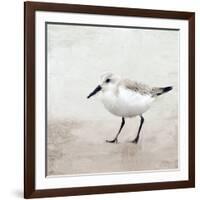 Sandpiper 2-Kimberly Allen-Framed Art Print