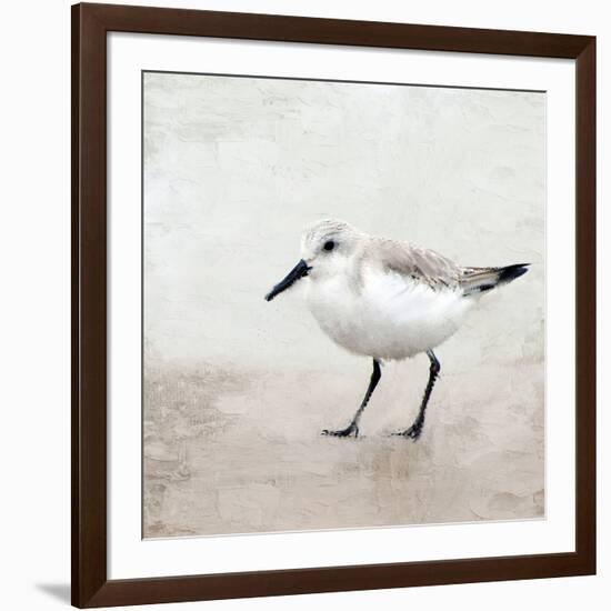 Sandpiper 2-Kimberly Allen-Framed Art Print