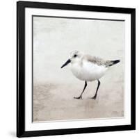 Sandpiper 2-Kimberly Allen-Framed Art Print