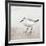 Sandpiper 2-Kimberly Allen-Framed Art Print