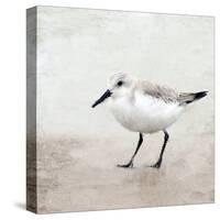 Sandpiper 2-Kimberly Allen-Stretched Canvas