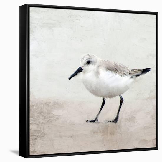Sandpiper 2-Kimberly Allen-Framed Stretched Canvas