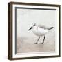 Sandpiper 2-Kimberly Allen-Framed Art Print