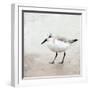 Sandpiper 2-Kimberly Allen-Framed Art Print