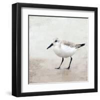 Sandpiper 2-Kimberly Allen-Framed Art Print